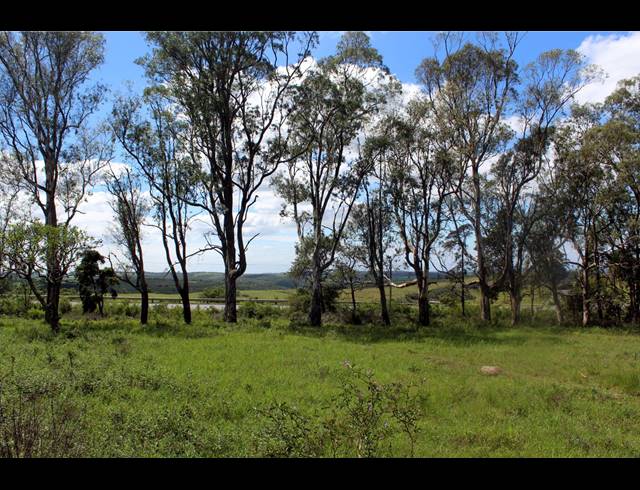 8.60HA FARM FOR SALE IN EAST LONDON RURAL